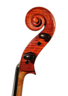 cello - Gaetano Gadda - scroll image