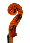 violin - Costanzo Pedicino - scroll image