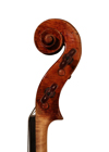 violin - Giuseppe Guarneri Son of Andrea - scroll image